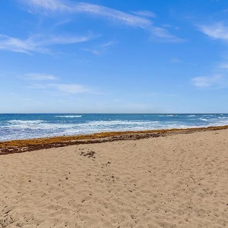 The Shell On Walnut Studio With Bath Hollywood Beach Free Parking Дейния Бийч Екстериор снимка