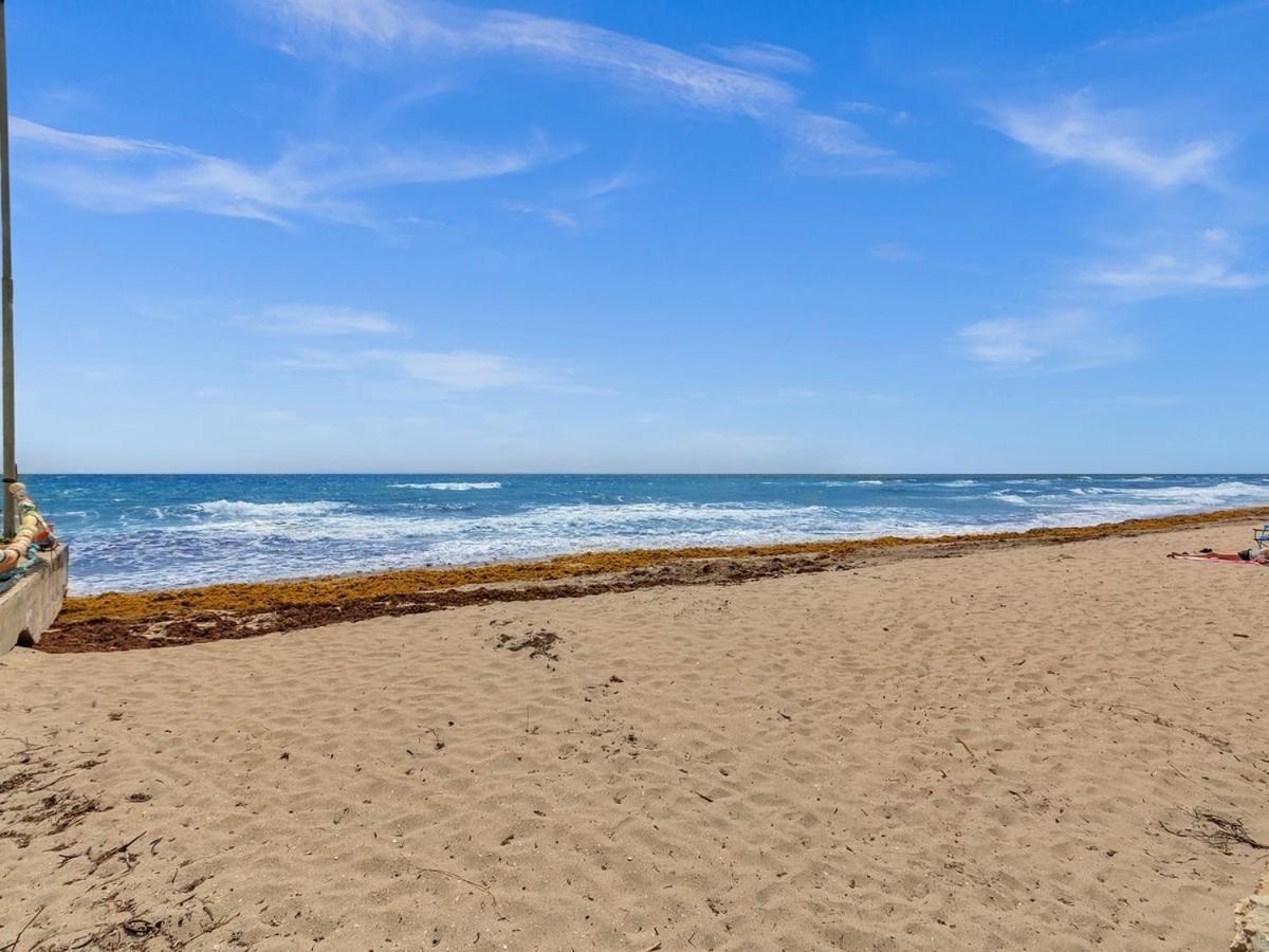 The Shell On Walnut Studio With Bath Hollywood Beach Free Parking Дейния Бийч Екстериор снимка